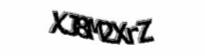 Security check image, please type the characters shown